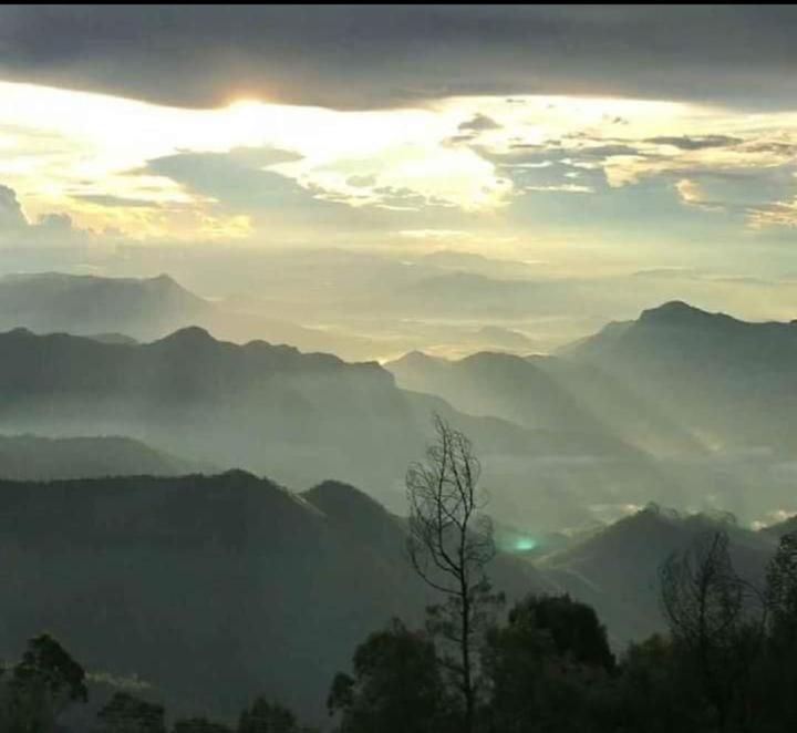Praveen'S Wood House Kodaikanal Vattakanal エクステリア 写真