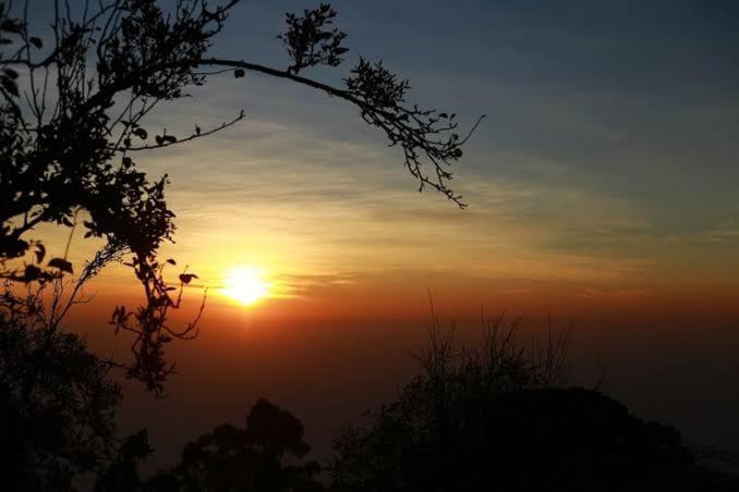 Praveen'S Wood House Kodaikanal Vattakanal エクステリア 写真