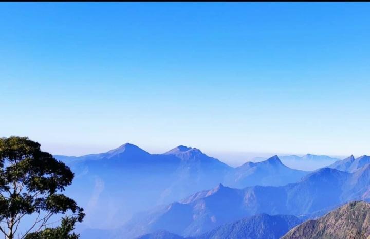 Praveen'S Wood House Kodaikanal Vattakanal エクステリア 写真